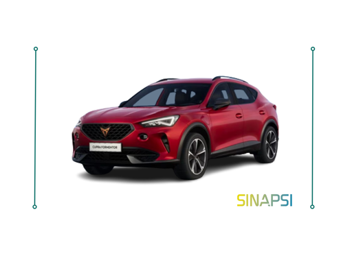 Cupra Formentor 2.0 TDI 4Drive DSG (36  Mesi, 10.000 Km Annui, Rosso Mobility*)